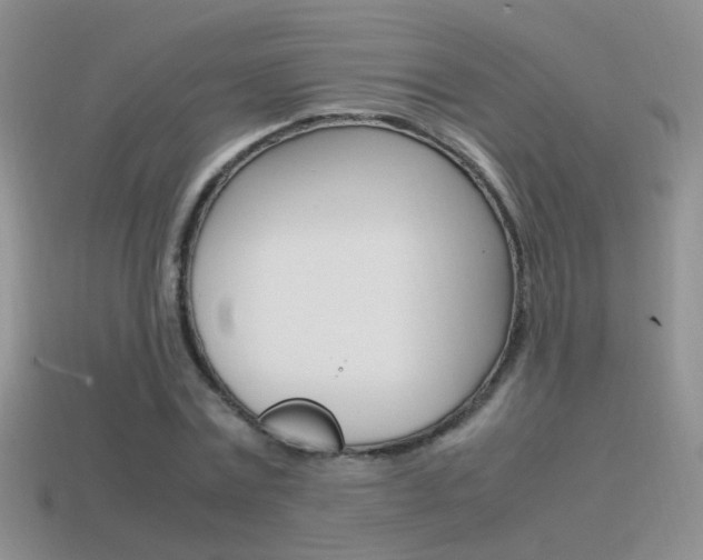 X0000115560779200911061146