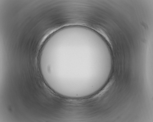 X0000115560781200911061146