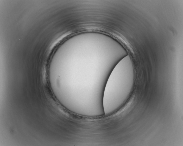 X0000115560782200911061146
