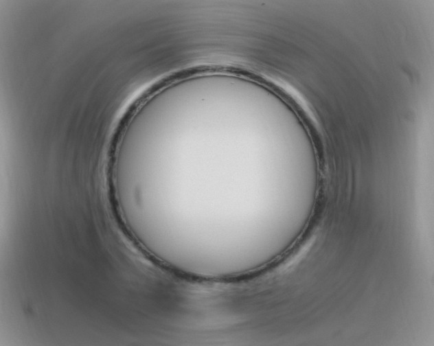 X0000115560783200911061146