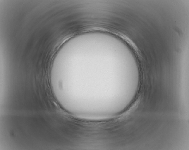 X0000115560785200911061146