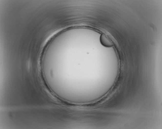 X0000115560789200911061146