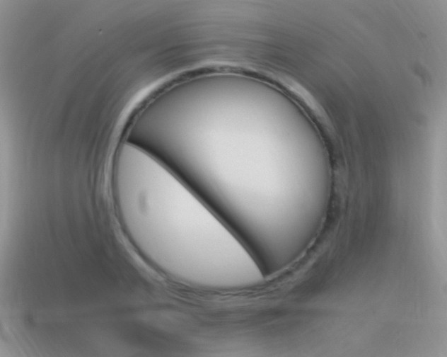 X0000115560791200911061146