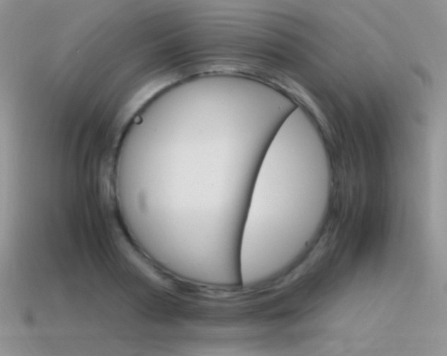 X0000115560794200911061146