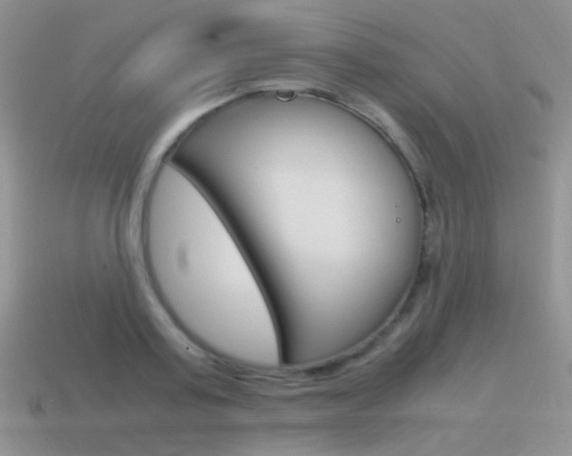 X0000115560795200911061146