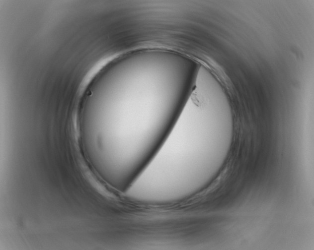 X0000115560796200911061146