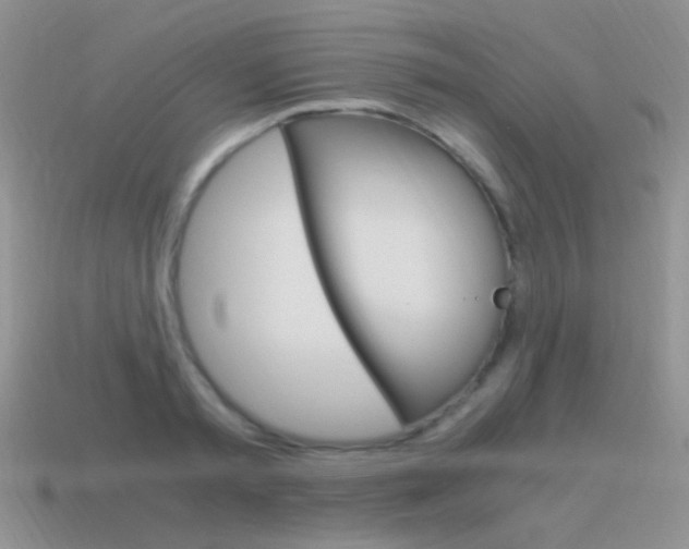 X0000115560797200911061146