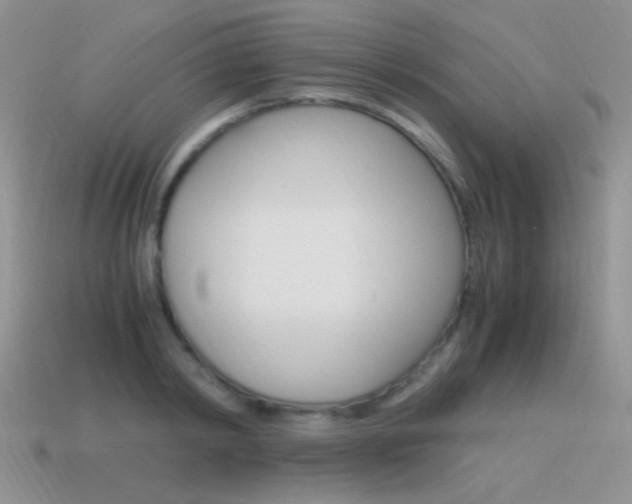 X0000115560798200911061146