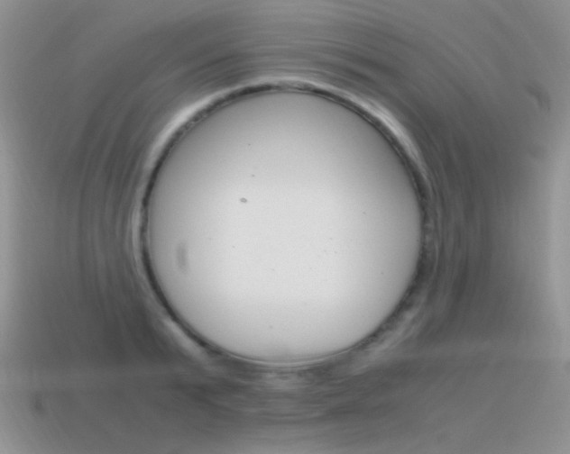 X0000115560799200911061146