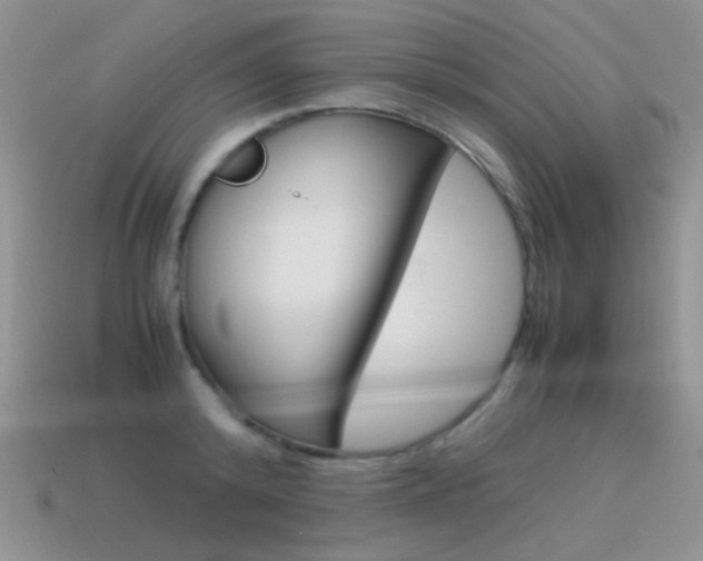 X0000115560800200911061146