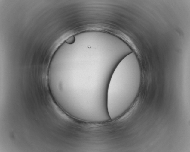 X0000115560802200911061146
