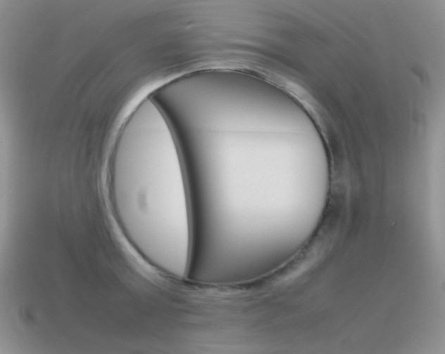 X0000115560803200911061146
