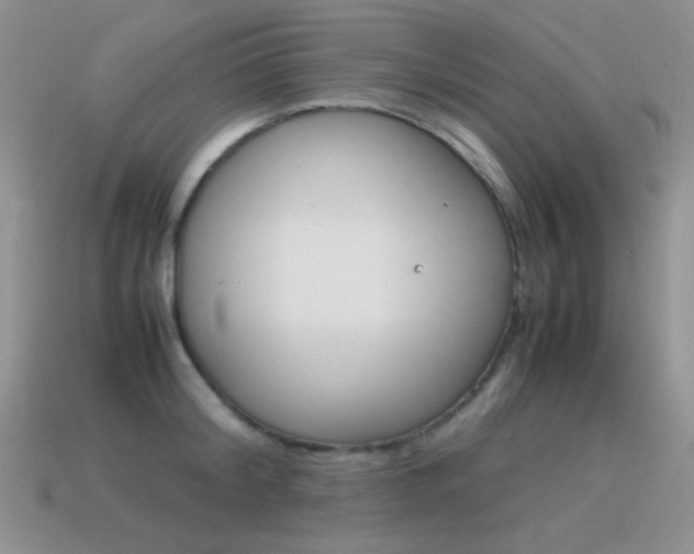 X0000115560804200911061146