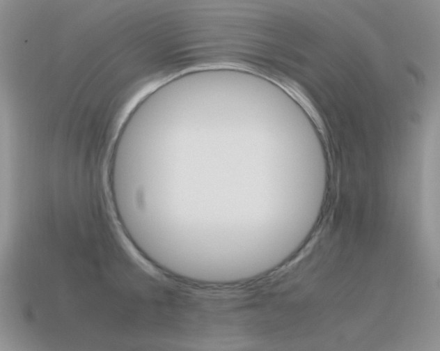 X0000115560805200911061146