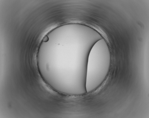 X0000115560806200911061146