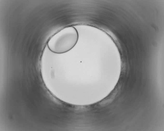 X0000115560807200911061146