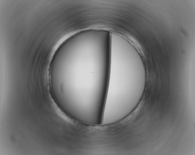 X0000115560808200911061146