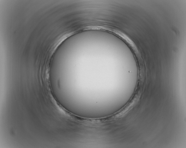X0000115560809200911061146