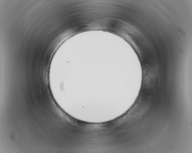 X0000115560810200911061146