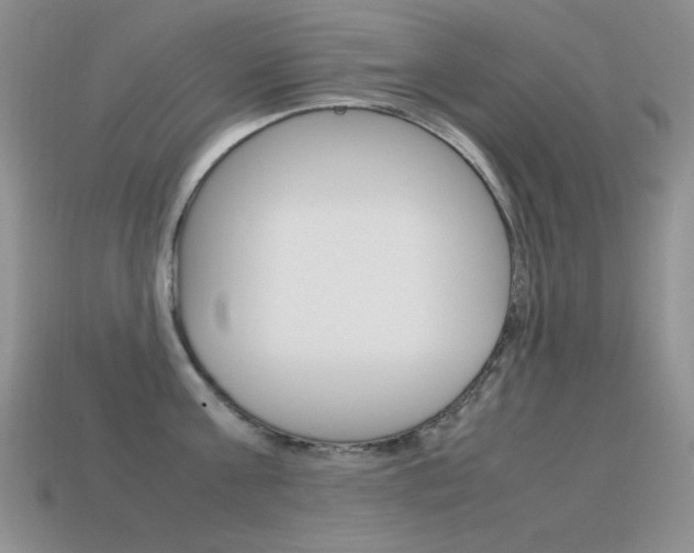X0000115560811200911061146