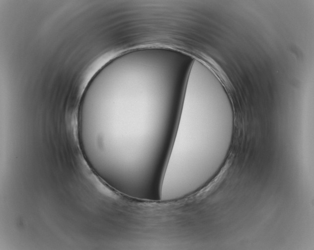 X0000115560812200911061146