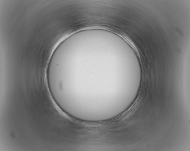X0000115560813200911061146
