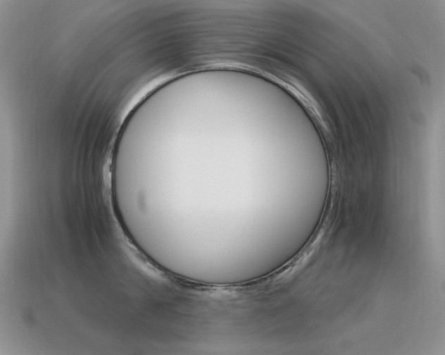 X0000115560814200911061146