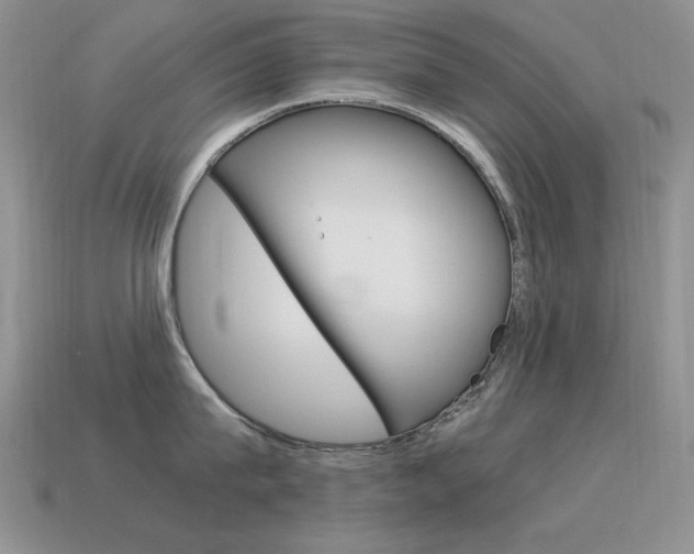 X0000115560815200911061146