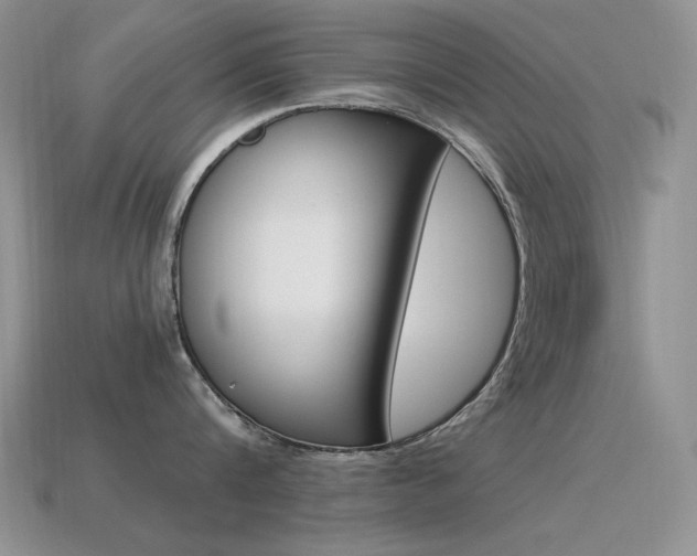 X0000115560816200911061146