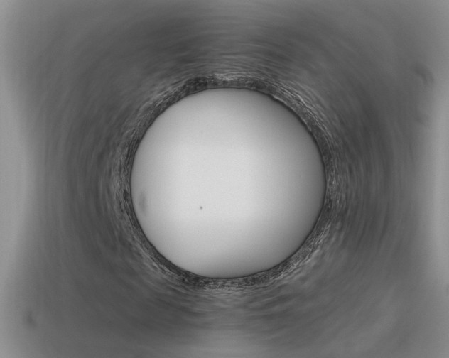 X0000115560817200911061145
