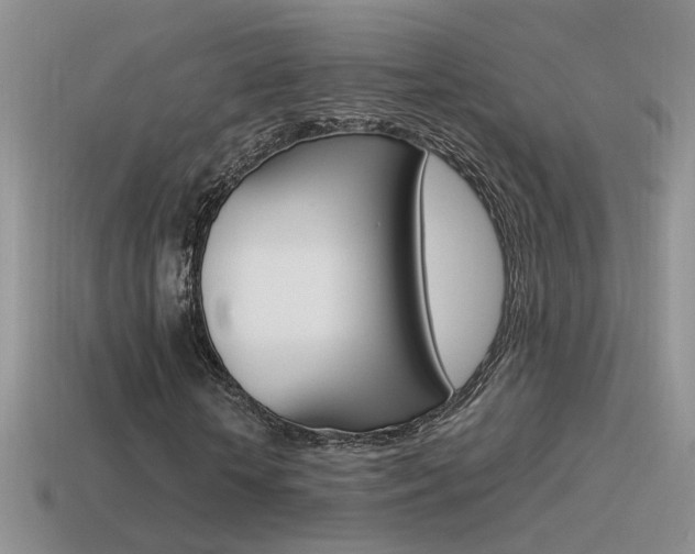 X0000115560818200911061145