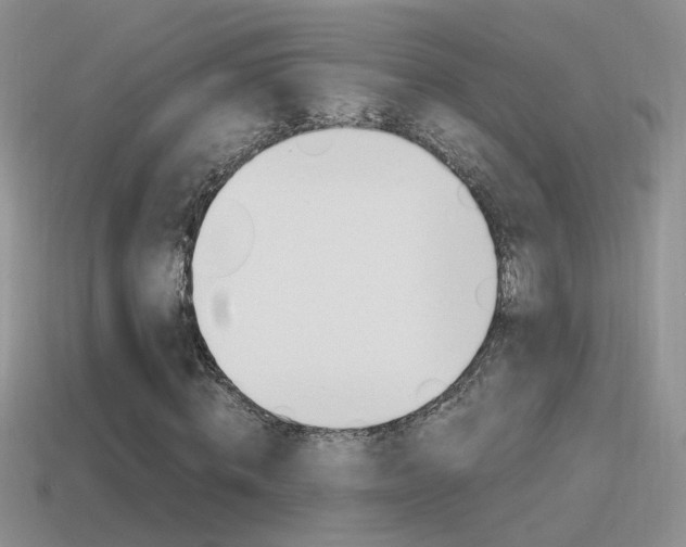 X0000115560820200911061145