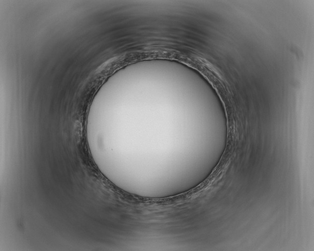 X0000115560821200911061145