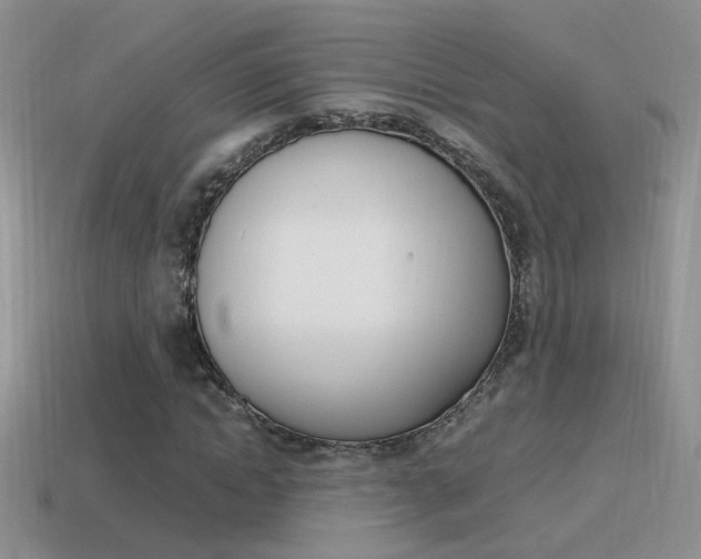 X0000115560822200911061145