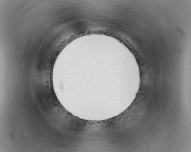 X0000115560824200911061145