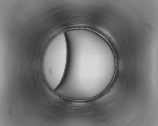 X0000115560825200911061145