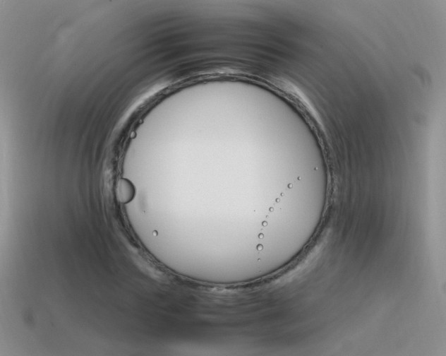 X0000115560827200911061146