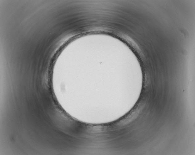 X0000115560828200911061146