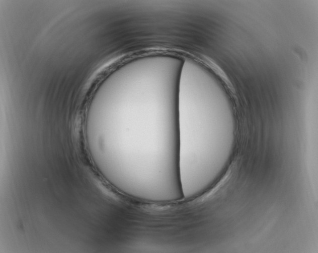 X0000115560831200911061146