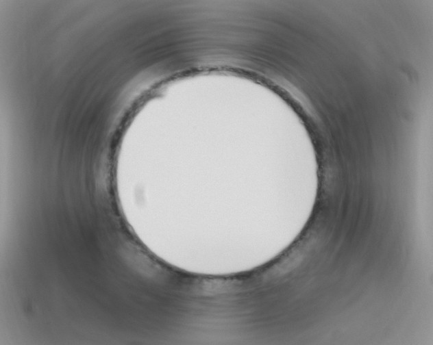 X0000115560832200911061146