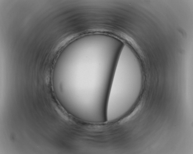 X0000115560833200911061146