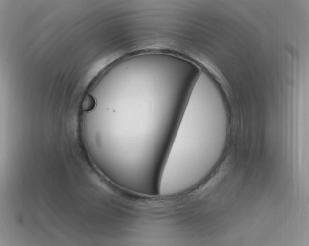 X0000115560834200911061146