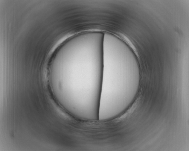 X0000115560835200911061146