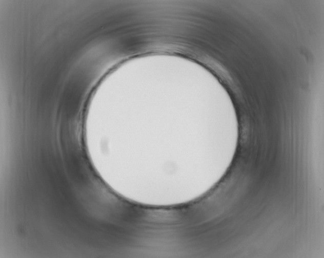 X0000115560836200911061146