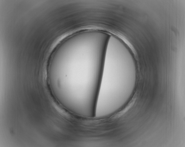 X0000115560837200911061146