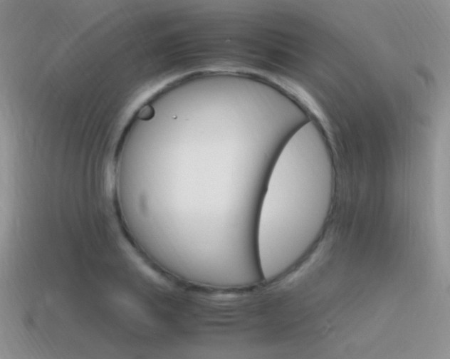 X0000115560839200911061146