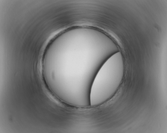 X0000115560840200911061146