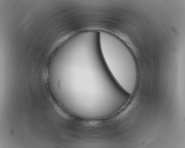 X0000115560841200911061146
