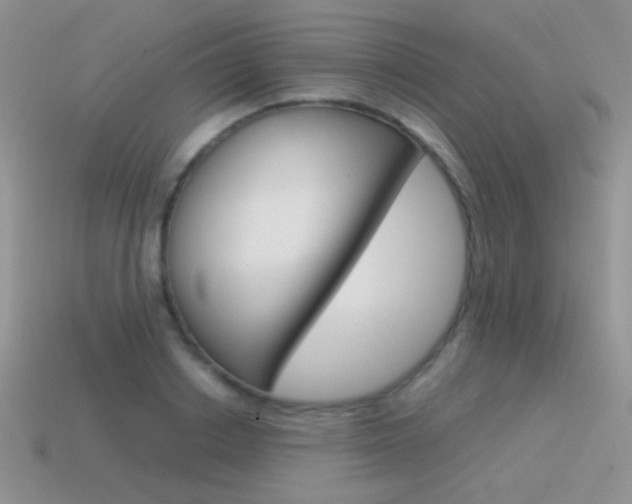 X0000115560842200911061146