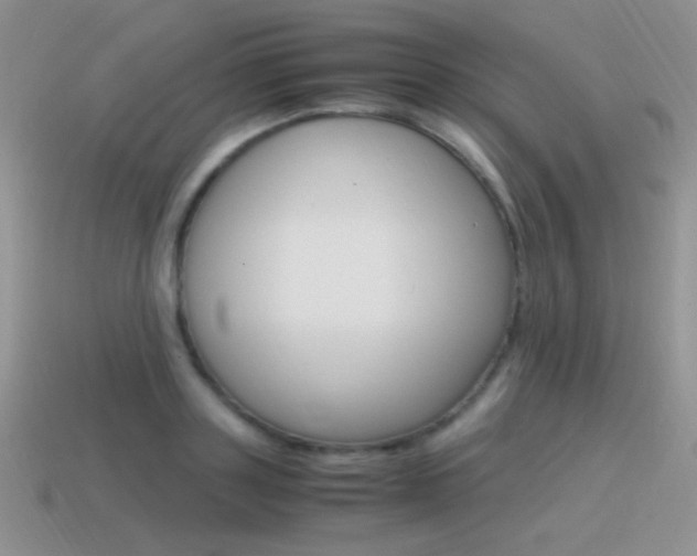 X0000115560843200911061146